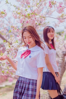 疯狂的麦咭第七季